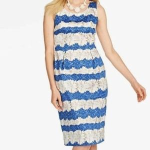 Talbots blue and‎ white daisy sheath dress size 4